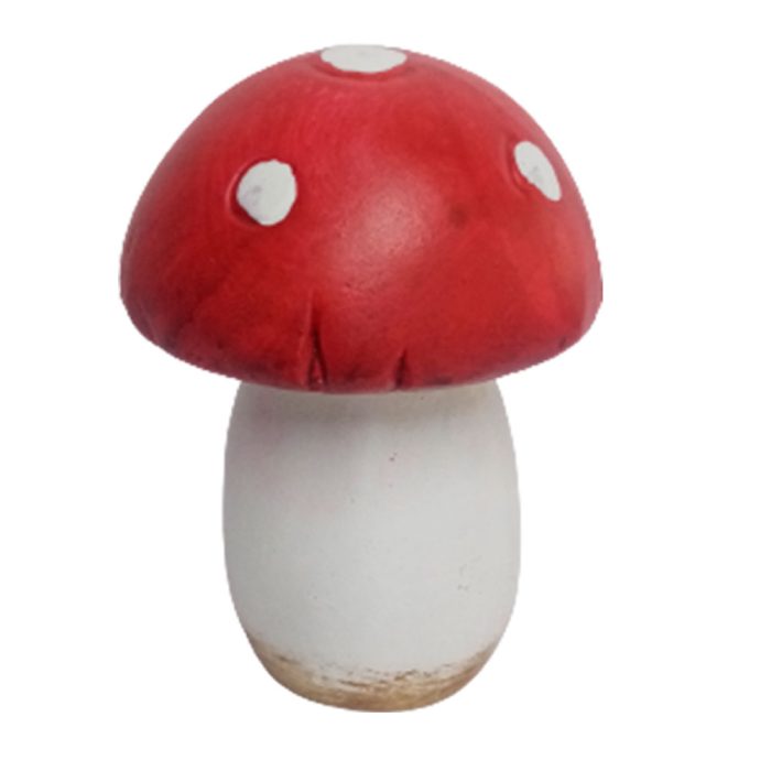 Hongo de barro rojo - Image 4
