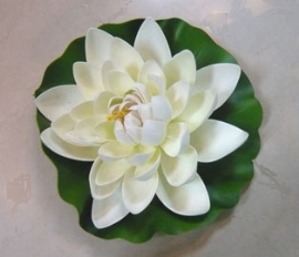Loto blanco grande