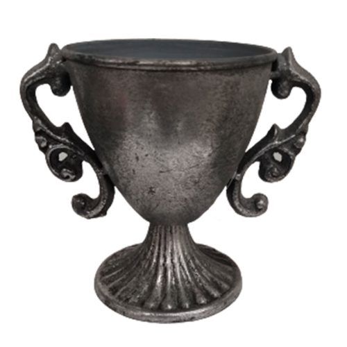 Copa de metal plateada
