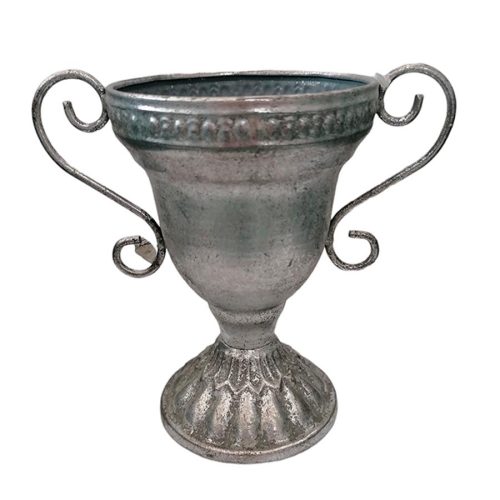 Copa de metal plateada