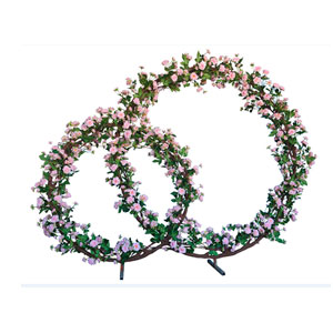Arco doble circulo
