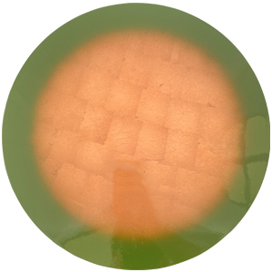 Plato de madera verde
