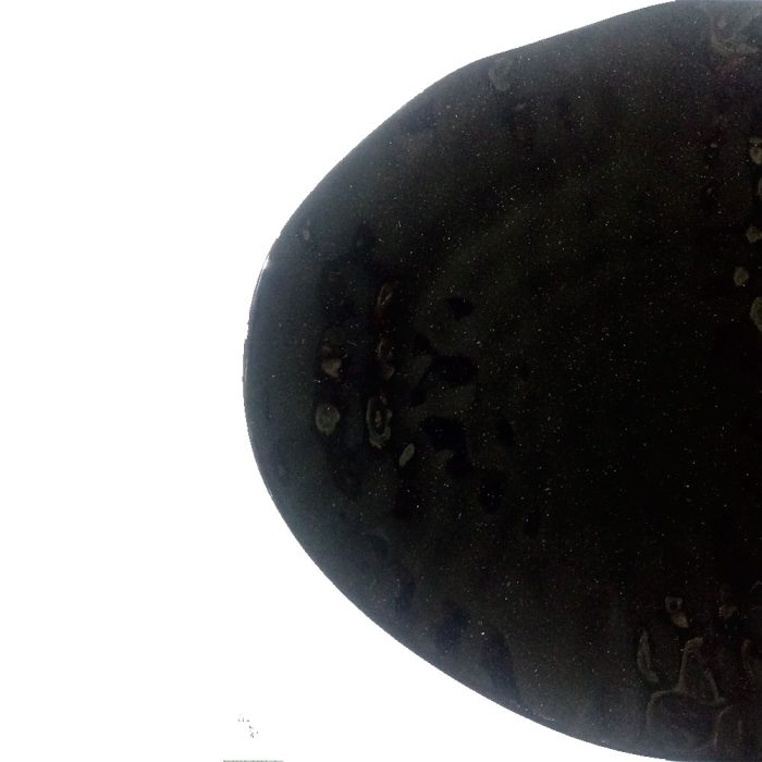 Plato de porcelana negra - Image 3