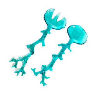 Juego de Cucharon