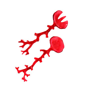 Juego de Cucharon