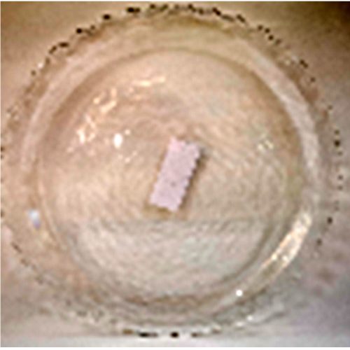 Plato de acrílico transparente
