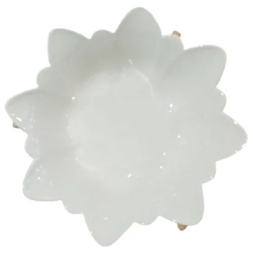 Bowl de porcelana diseño