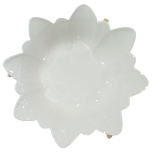 Bowl de porcelana diseño
