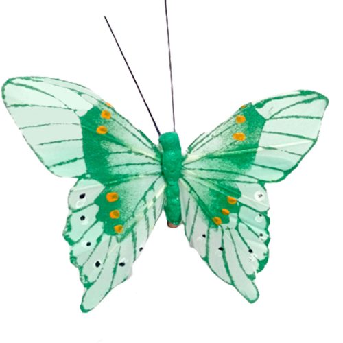 Mariposa verde con pinza