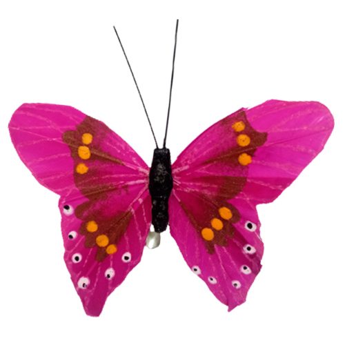 Mariposa purpura con pinza