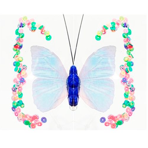 Mariposa azul transparente