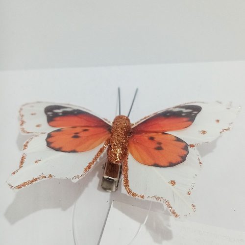 Mariposa naranja con blanco