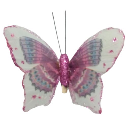 Mariposa purpura con blanco