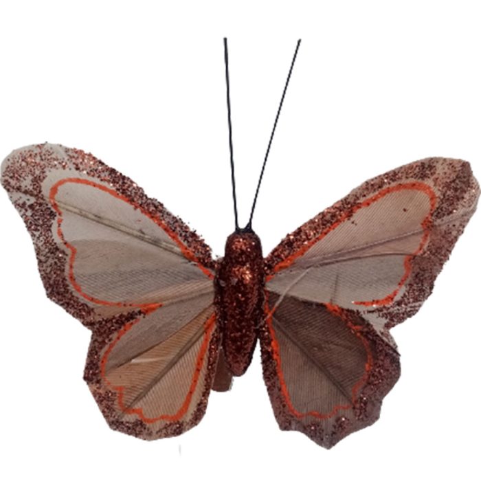 Mariposa café con pinza - Galerías el Triunfo - 100307378298