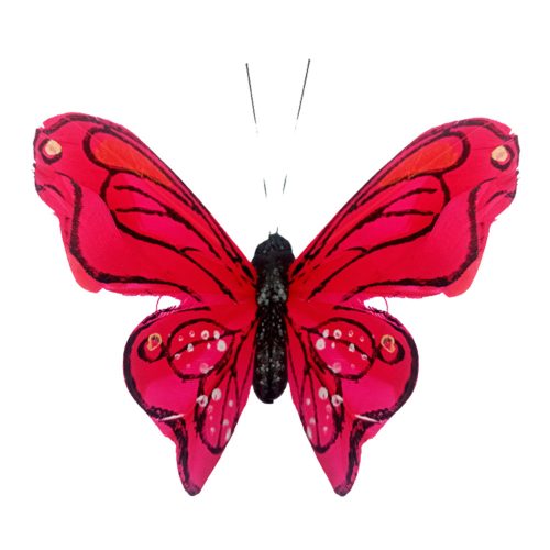 Mariposa roja con pinza