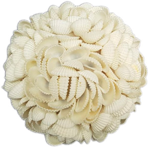 Bola cubierta de conchas