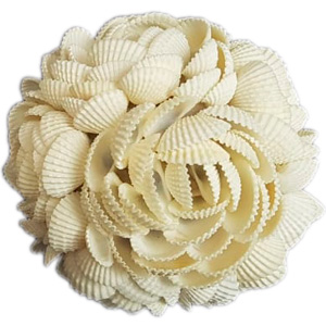 Bola cubierta de conchas