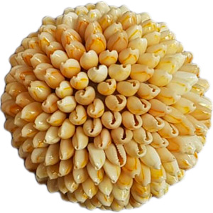 Bola cubierta de caracoles