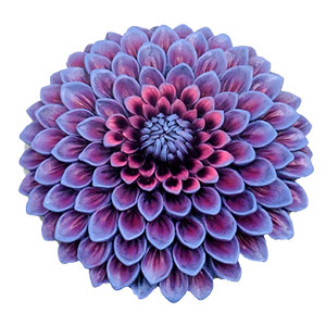 Flor morada de resina