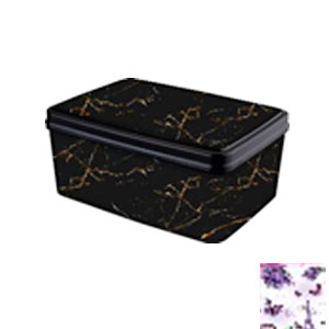 Caja de plastico
