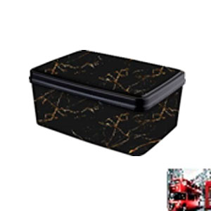 Caja de plastico estampado