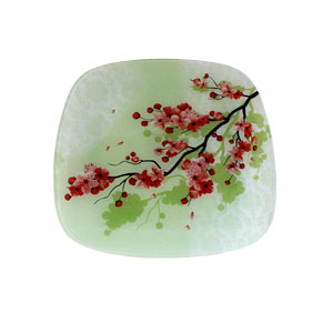 Plato de vidrio cuadrado