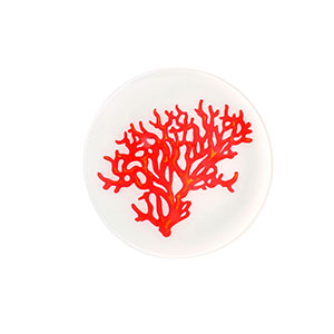 Plato de vidrio diseño