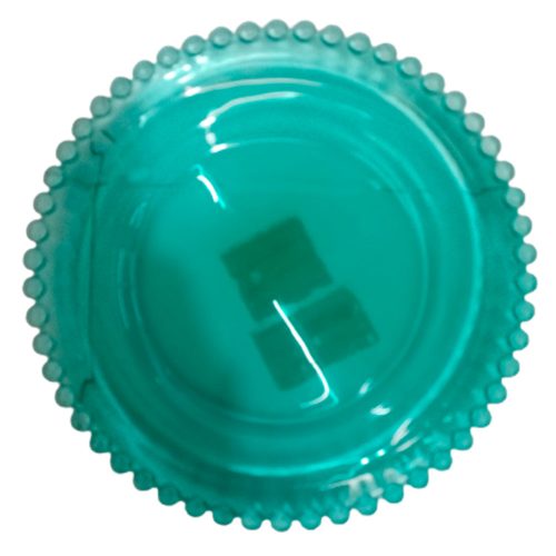 Plato de cristal transparente