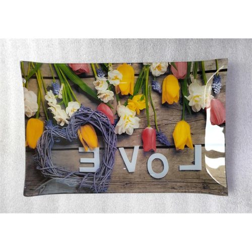 Plato de vidrio rectangular