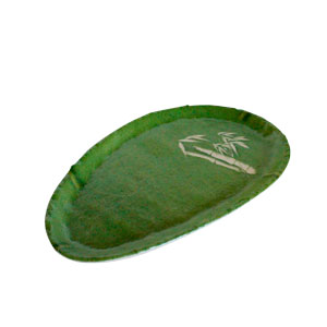 Plato de Melamina diseño