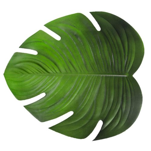 Hoja de fomi