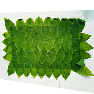 Mantel individual rectangular diseño - Galerías el Triunfo - 156072692084