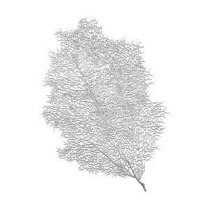 Hoja de plastico plateada - Galerías el Triunfo - 156072692202