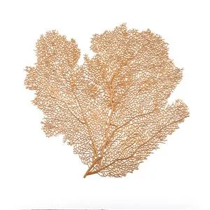 Hoja de plastico - Galerías el Triunfo - 156072692204