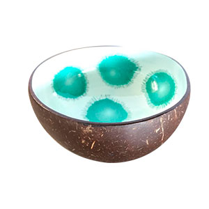 Bowl de coco lacado