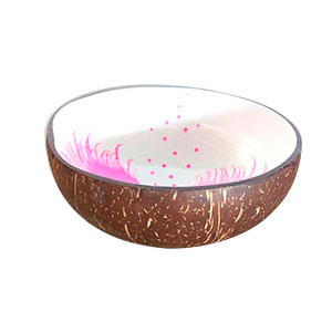 Bowl de coco lacado - Galerías el Triunfo - 156072787012