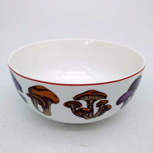Bowl de cerámica estampado