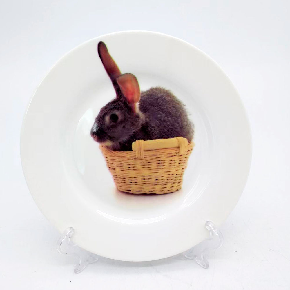 Plato de cerámica estampado