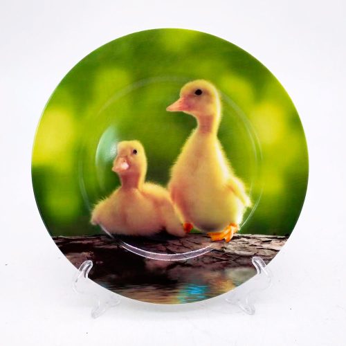 Plato de cerámica estampado