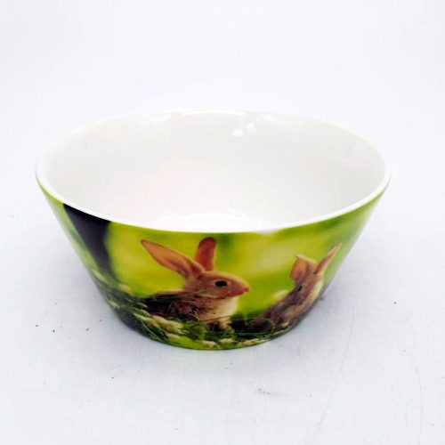 Bowl de cerámica estampado