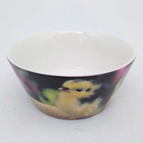 Bowl de cerámica estampado