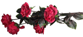 Vara de Rosas rojas - Galerías el Triunfo - 171071736944