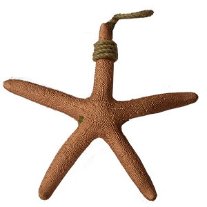 Estrella de mar - Galerías el Triunfo - 206071383102