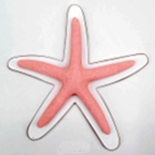 Estrella marina rosa