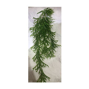 Vara de algas verdes