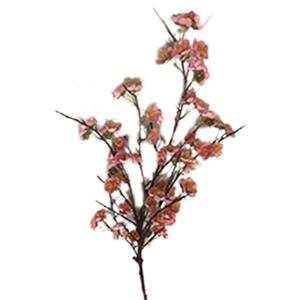 Vara con mini flores - Galerías el Triunfo - 221001736471