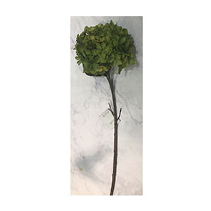 Vara con flor mini - Galerías el Triunfo - 221001736497