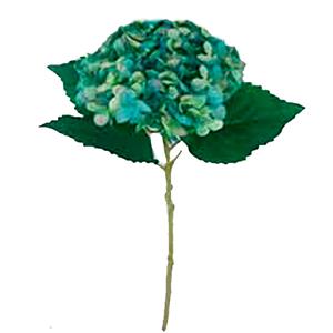 Vara de hortencias verde