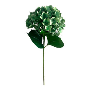 Vara de hortencias verde