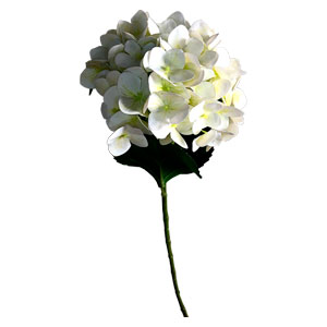 Vara de hortencias blanca
